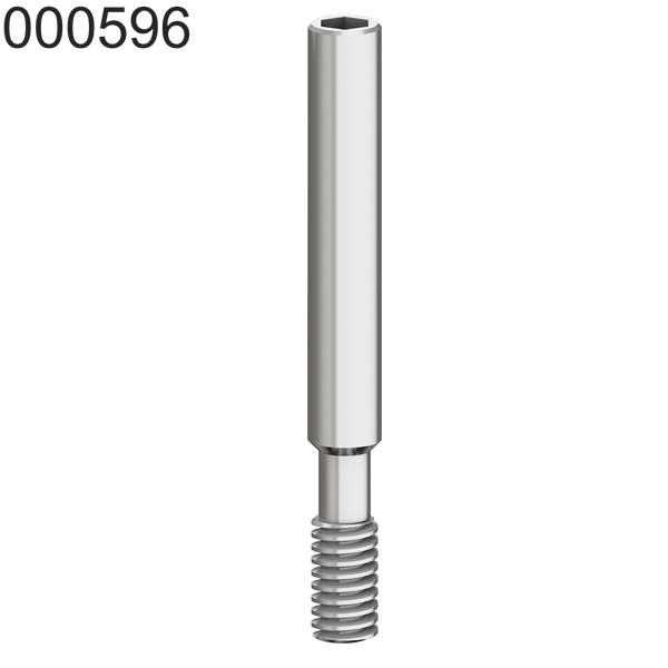 Screw for Transfer Internal Hex Connection