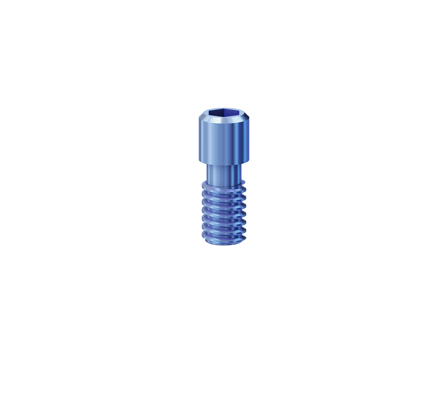 DST IMPLANT — Multi-Unit Abutment Screw (Internal Hex System 10-Pack)