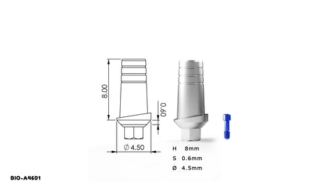Straight Anatomic Abutment - Internal Hex system 10 Pack