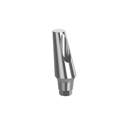 15° Angular Standard Abutment - Internal Hex system 10 Pack