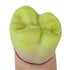 products/WAXES-top-cervical-wax-large_0001_69.jpg