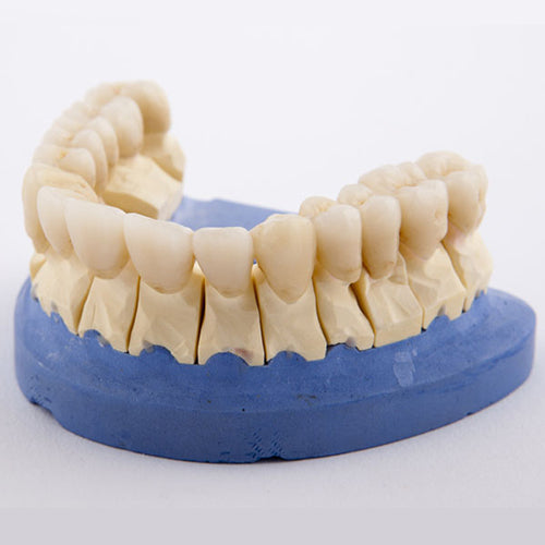 Top Diagnostic Wax